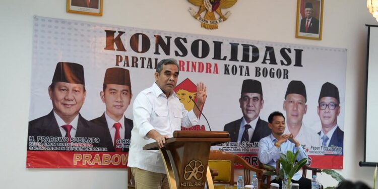 Muzani: Gemoy Adalah Kreativitas dan Inovasi, Bukan Menghilangkan Substansi Demokrasi