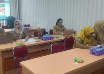Dinas Pangan Sulbar Perkuat Penataan Organisasi melalui Pemetaan Anjab dan ABK
